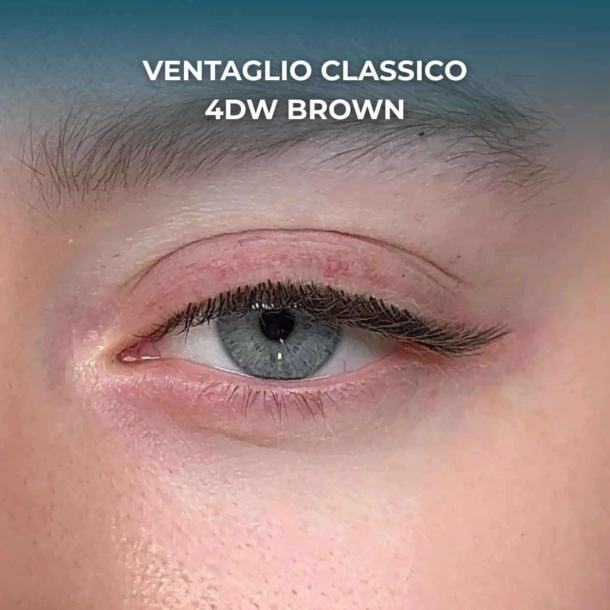 VENTAGLIO CLASSICO 4DW BROWN
