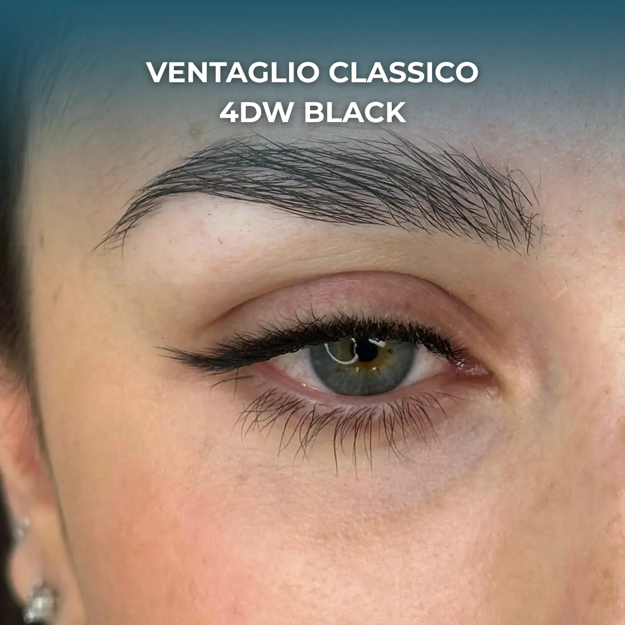 VENTAGLIO CLASSICO 4DW