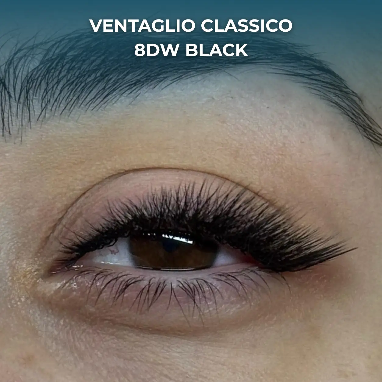 VENTAGLIO CLASSICO 4DW